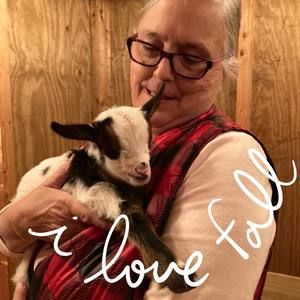 Meet your Posher, Cheryl